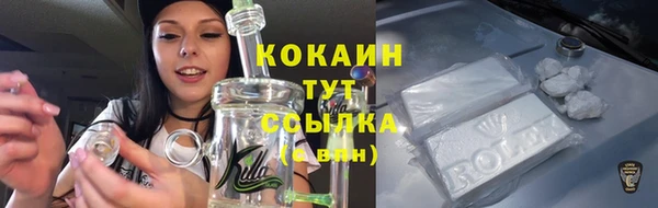 стафф Касимов