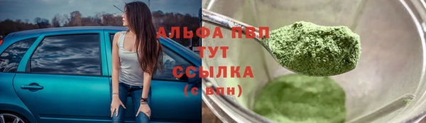стафф Касимов