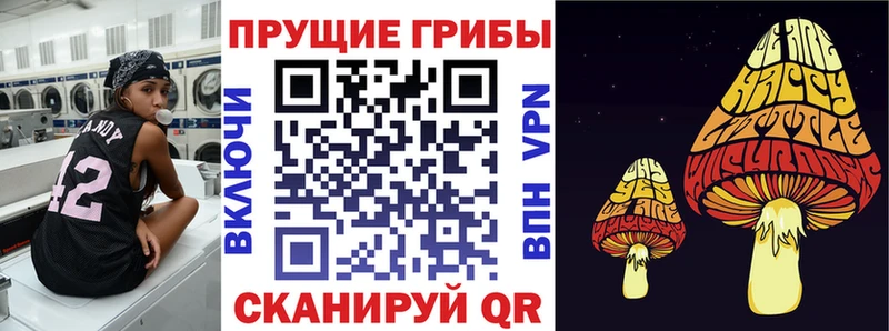 Купить где  Обоянь  Галлюциногенные грибы GOLDEN TEACHER 
